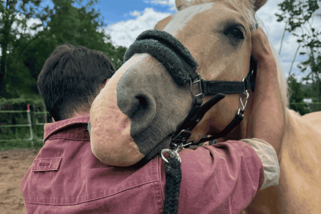 Séance d'ostéopathie pour cheval aux Écuries de Lodbrok