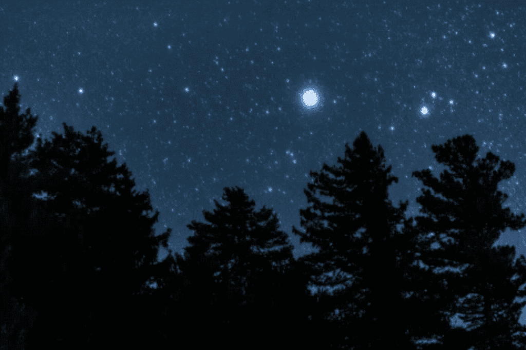 Les Écuries de Lodbrok proposent également les équi-constellations